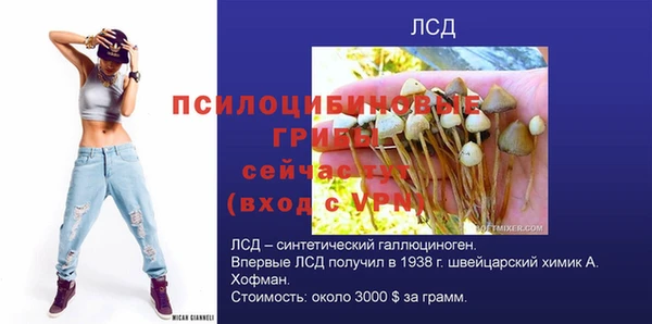 хмурый Алексин