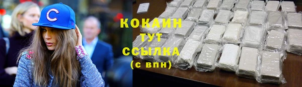 хмурый Алексин