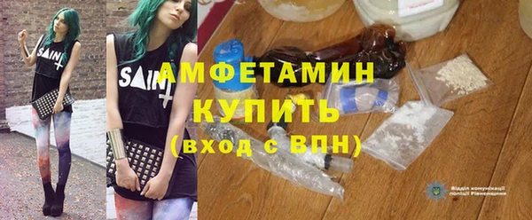 хмурый Алексин