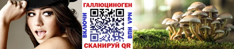 Псилоцибиновые грибы прущие грибы Поронайск