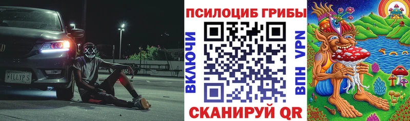 Галлюциногенные грибы Cubensis  Поронайск 